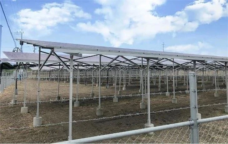 solar-agriculture-mounting-structure1dc6a5a6-8aff-4d53-ab7f-be41518e1a9f_