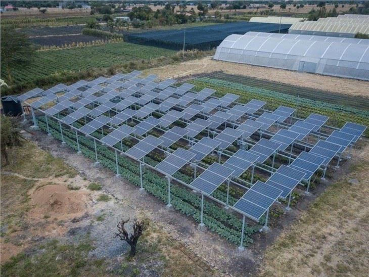 Agricultural Ground Mount Solar Racking